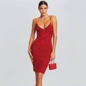 Like New Retrofete Red Sequin Dress